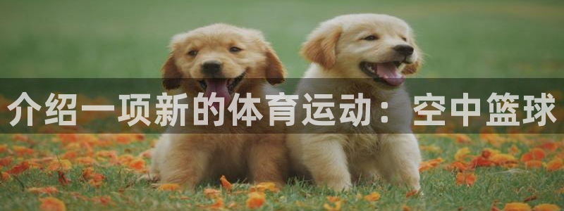3377体育官方正版app集团E.ON：介绍一项新的体育运动