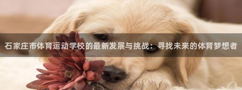 3377体育官网下载招商电话是多少啊：石家庄市体育运