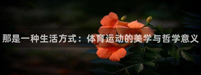 3377体育官方正版app娱乐：那是一种生活方式：体
