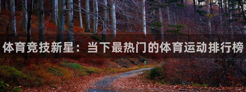 3377体育官方正版app神州：体育竞技新星：当下最热门的体
