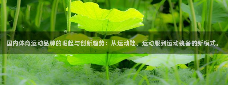 3377体育官网下载平台假的吗是真的吗：国内体育运动