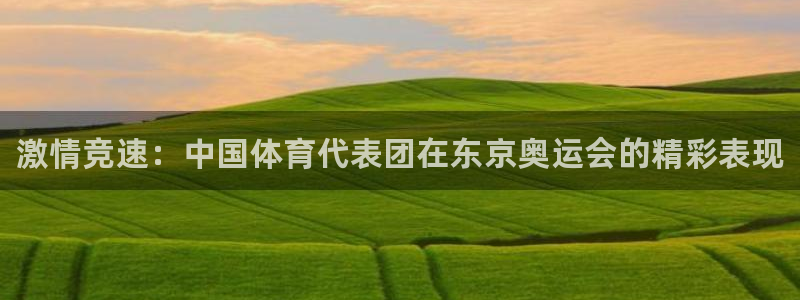 德国3377体育官方正版app集团：激情竞速：中国体