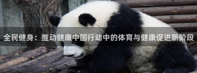 3377体育官方正版app神州：全民健身：推动健康中