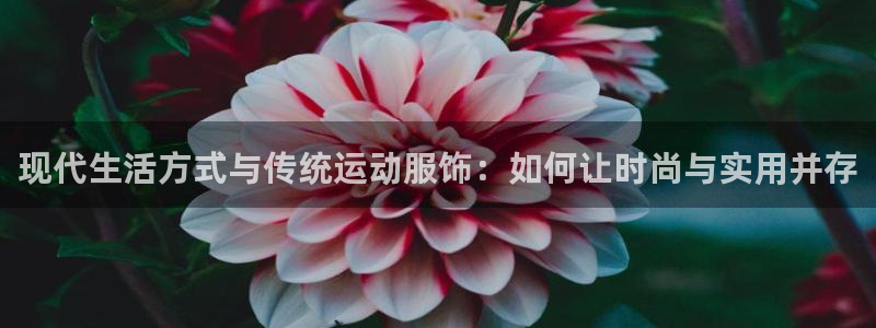 3377体育合法吗：现代生活方式与传