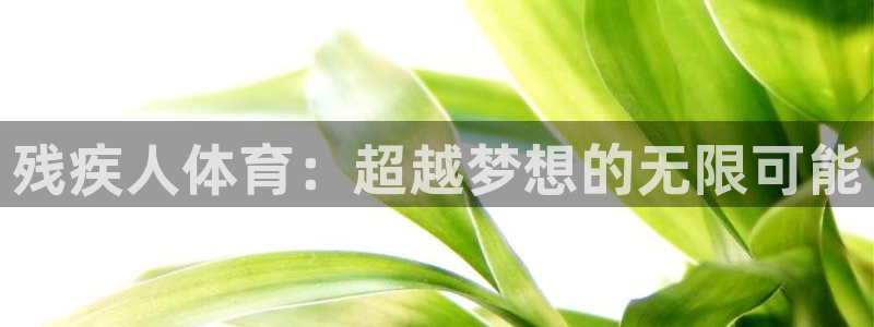 3377体育合法吗：残疾人体育：超越
