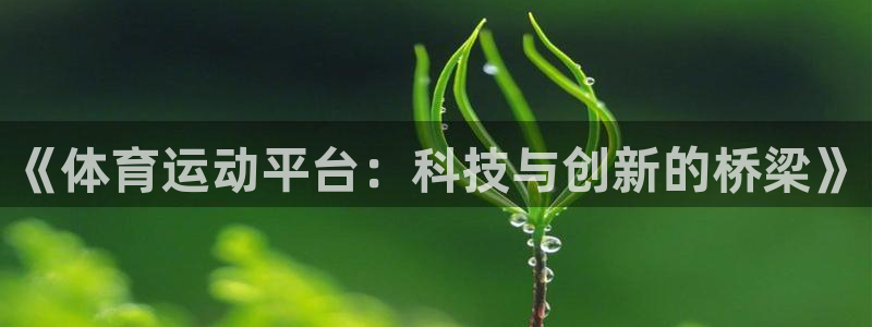 3377体育最害怕三个东西：《体育运动平台：科技与创新的桥梁