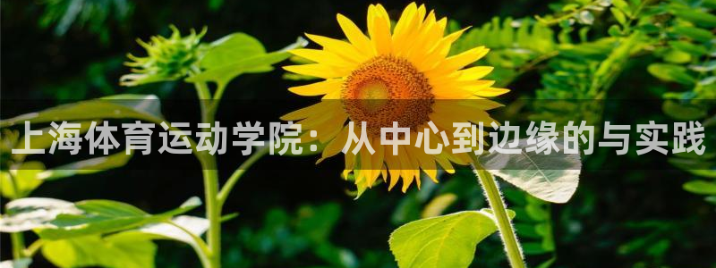 3377体育app属不属于病毒应用：上海体育运动学院：从中心