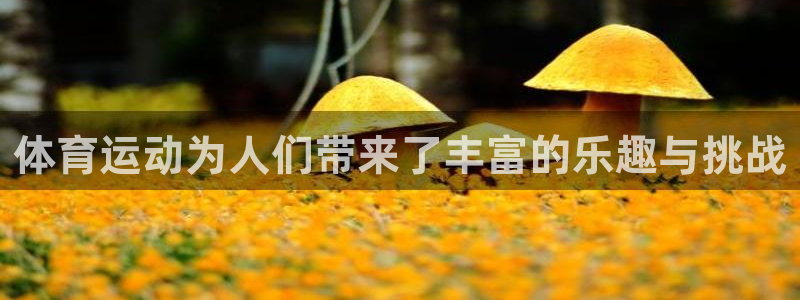  3377体育犯法吗：体育运动为人们带来了丰富的乐趣与挑战