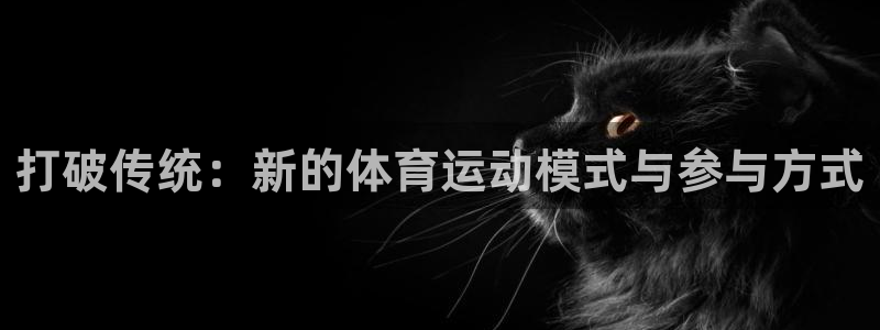 3377体育是干嘛的：打破传统：新的体育运动模式与参与方式