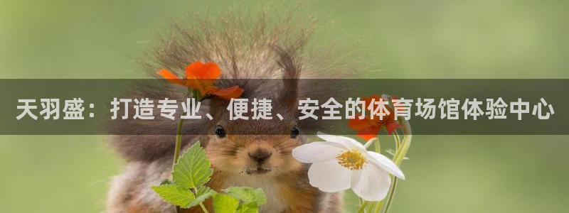 3377体育中国官方网站入口：天羽盛