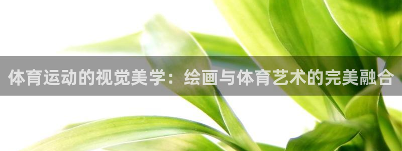  3377体育合法吗：体育运动的视觉美学：绘画与体育艺术的完美