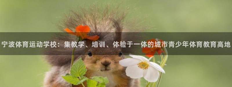 3377体育是正规平台吗：宁波体育运