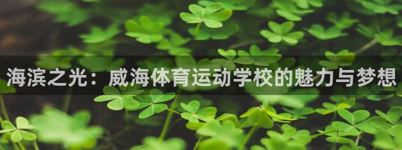 3377体育唯一官方网站：海滨之光：威海体育运动学校的魅力与