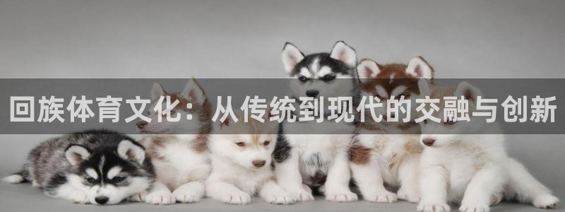  3377体育是什么：回族体育文化：从传统到现代的交融与创新