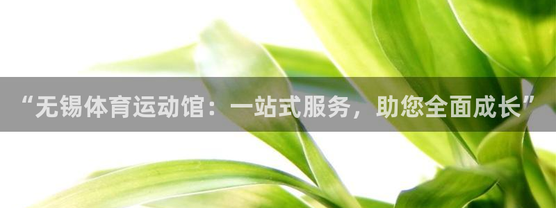 3377体育是正规平台吗：“无锡体育