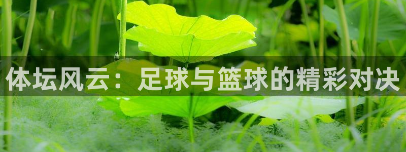 3377体育为什么提不出来：体坛风云