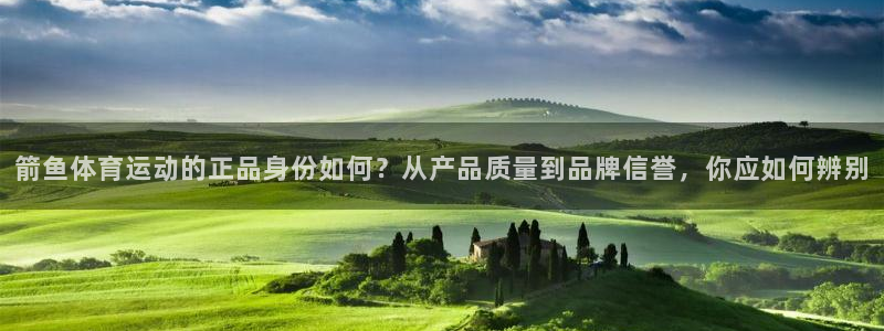 3377体育黑款吗：箭鱼体育运动的正