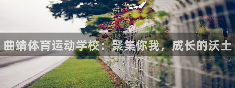  3377体育犯法吗：曲靖体育运动学校：聚集你我，成长的沃土