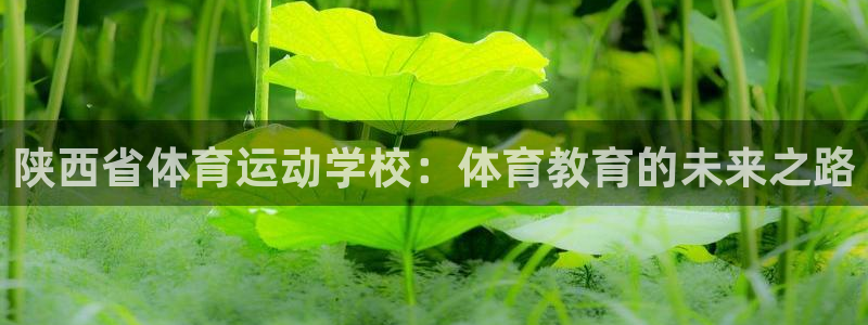 3377体育不出款：陕西省体育运动学