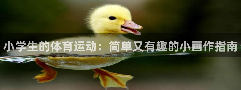 3377体育官方正版app娱乐下载：小学生的体育运动