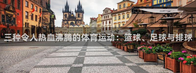 3377体育官方正版app娱乐首页网站大全：三种令人