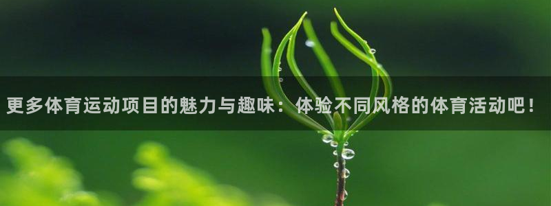 3377体育官网下载娱乐