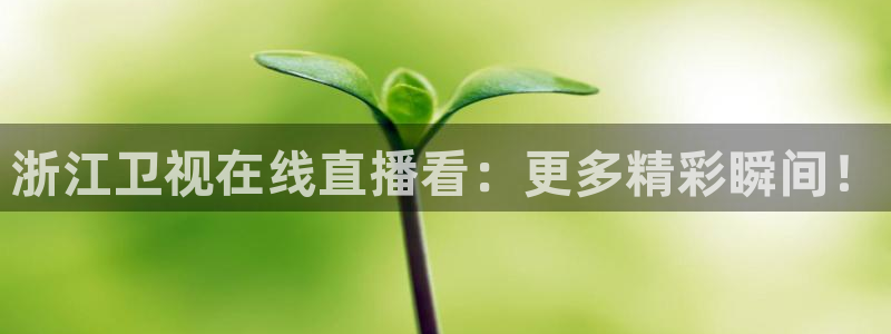 黑白篮球直播nba：浙江卫视在线直播看：更多精彩瞬间！