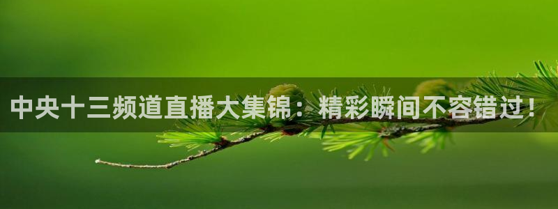 黑白直播体育nba直播在线看：中央十三频道直播大集锦：精彩瞬间不容错过！