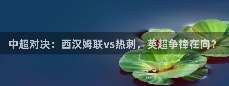 9球直播足球赛事直播黑白：中超对决：西汉姆联vs热刺，英超争锋在向？