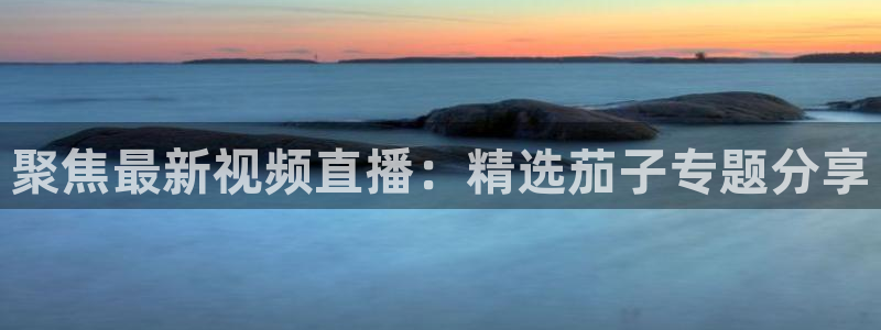 nba直播 黑白直播间：聚焦最新视频直播：精选茄子专题分享