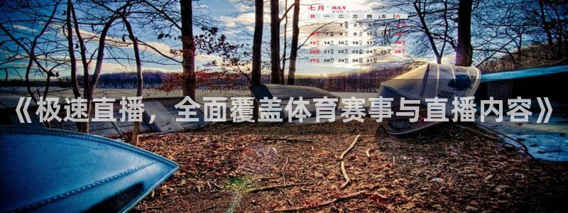 黑白直播极速体育：《极速直播，全面覆盖体育赛事与直播内容》