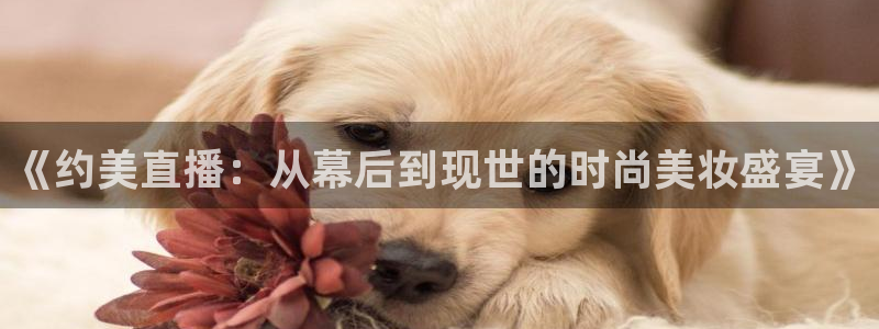 黑白直播免费体育直播高清：《约美直播：从幕后到现世的时尚美妆盛宴》