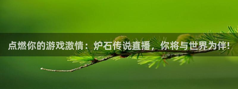 黑白直播间：点燃你的游戏激情：炉石传说直播，你将与世界为伴!