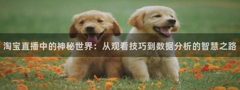 黑白直播在线观看nba：淘宝直播中的神秘世界：从观看技巧到数据分析的智慧之路