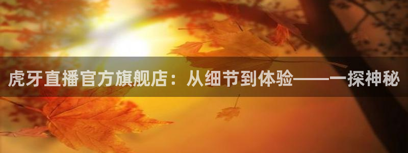 黑白体育比赛直播：虎牙直播官方旗舰店：从细节到体验——一探神秘